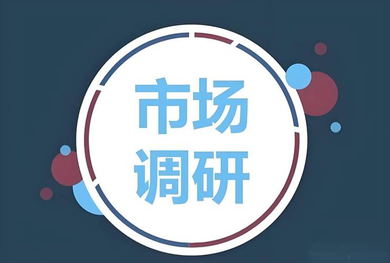 上海信息咨询选购指南：打造高效的商业决策